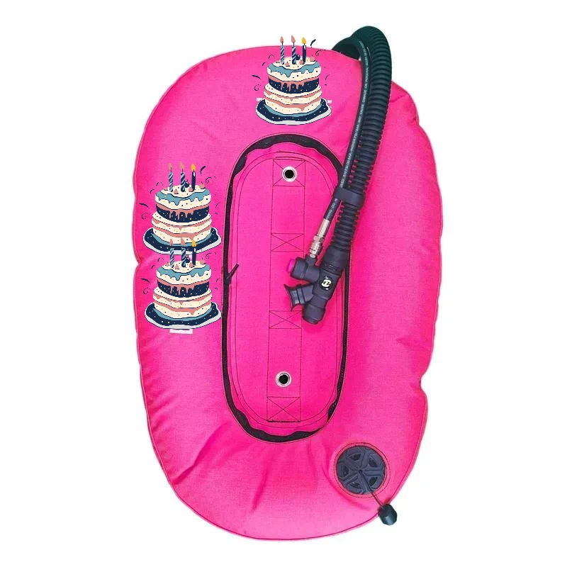 Factory Price 25lb Reusable Portable Back Inflated Diving BCD Professional Lightweight Buoyancy Integrated Weight Backplate