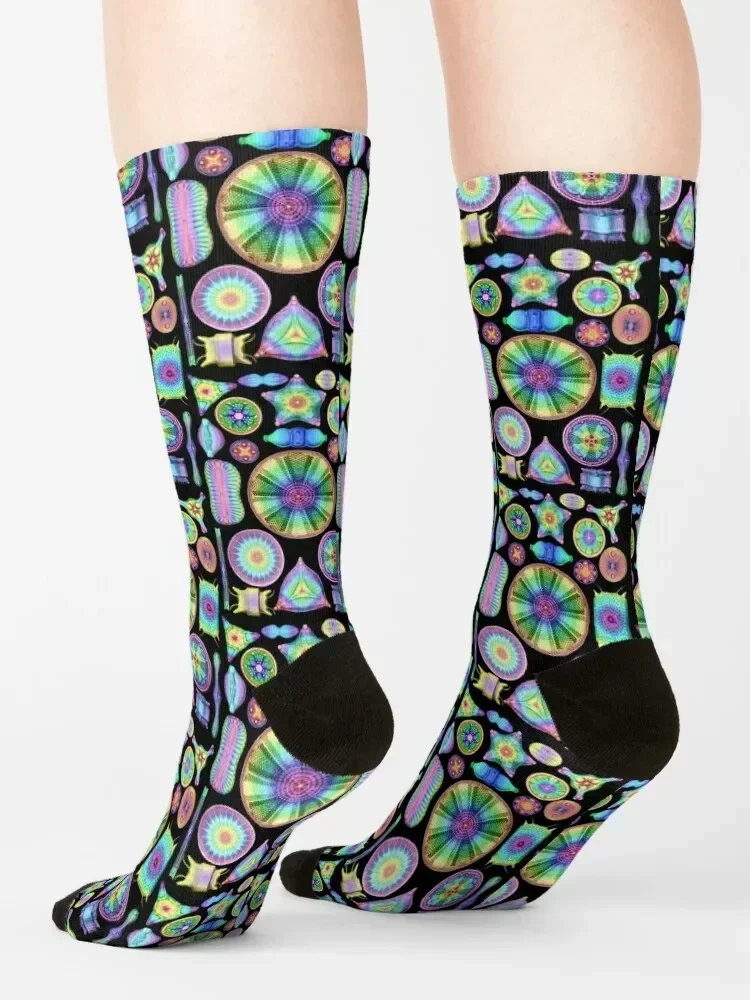 Ernst Haeckel Rainbow Diatoms on Black Socks luxury hiking Men's designer Boy Child Socks Women's