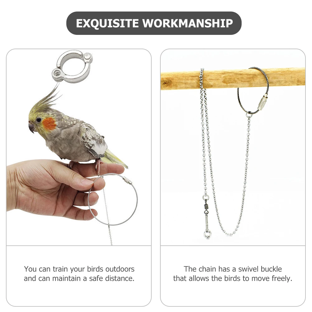 

Stainless Steel Bird Chain Leash Parrot The Pet Harness for Parrots Foot Small Birds