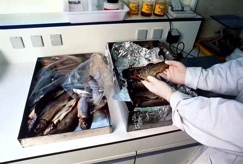 

Универсальные шины RC (4 шт.) для 1/7 ARRMA Infraction Limitless FELONY, подходят для моделей FSRC GT 1/8 HuanNao X3GT