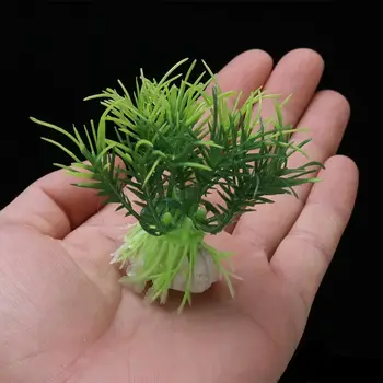 12 最佳銷售 水族箱種子 - №8