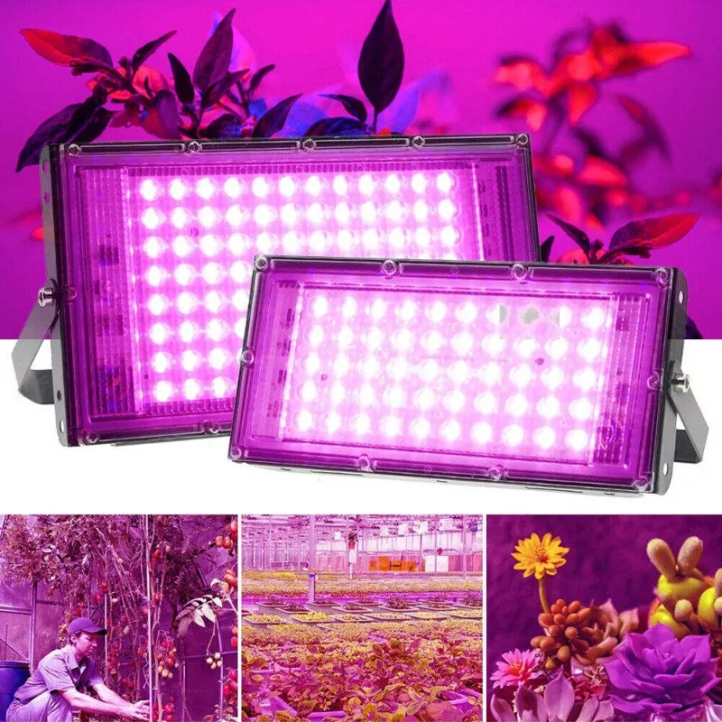 LED grow light full spectrum 100W 200W 300W plant growth light for greenhouse cultivation flowers and plants spotlight