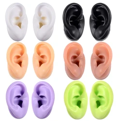 soft Silicone Ear Model For hearing aid 1:1 human Ear ear model simulation display props teaching tools Jewelry display Earrings