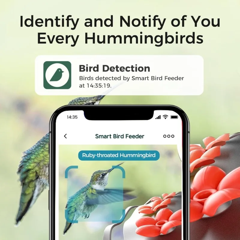 Стеклянная умная кормушка для колибри с камерой, Идентификация AI на солнечной энергии, обнаружение воды, герметичный муравей, Alexa Google