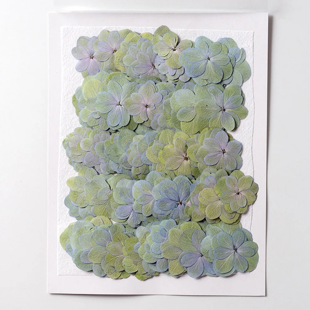 30 قطعة الفاوانيا المزدوجة الزهور المجففة ضغط المواد الحرفية الطبيعية لتقوم بها بنفسك لشموع الراتنج مجوهرات سكرابوكينغ الديكور السائبة الصغيرة