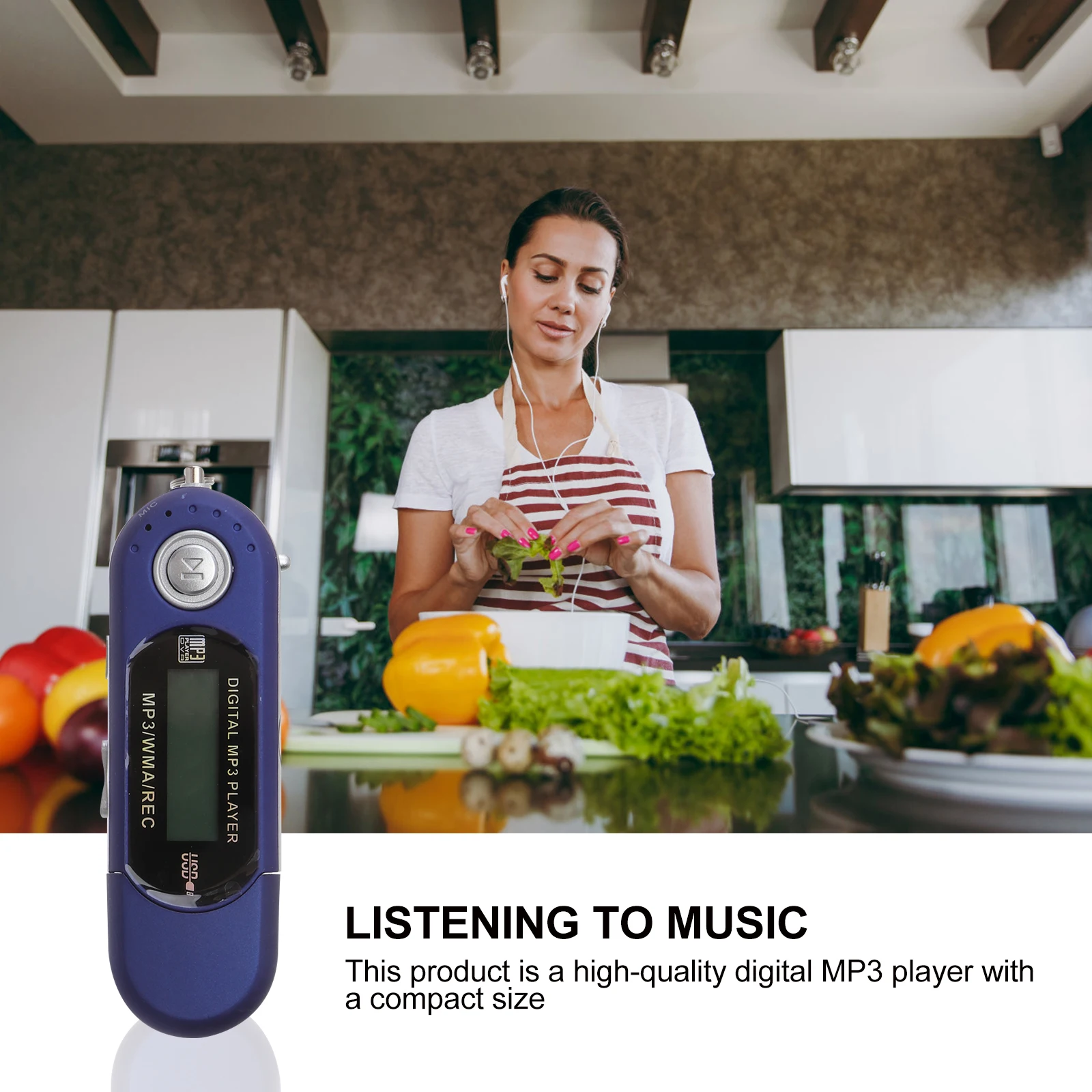 

USB Music Player Mp3 Players 4GB Liquid Crystal 1.3-inch LCD Digital Flash Drive