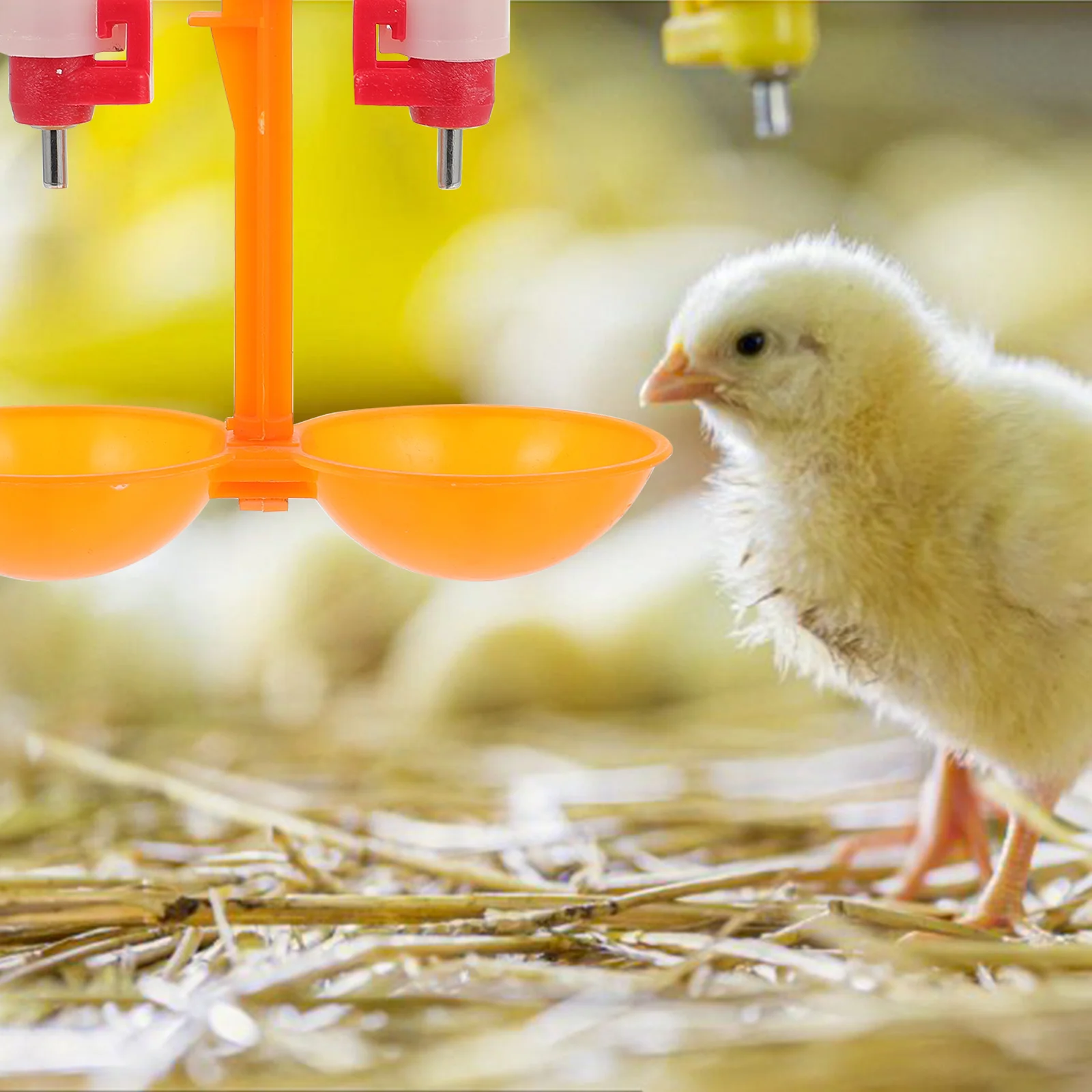 

10Pcs Poultry Drinking Nipples Automatic Waterer Chicken Feeder Easy Clean Durable Farm Supplies Chicken Water Drinker