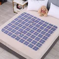 Sunflower lattice