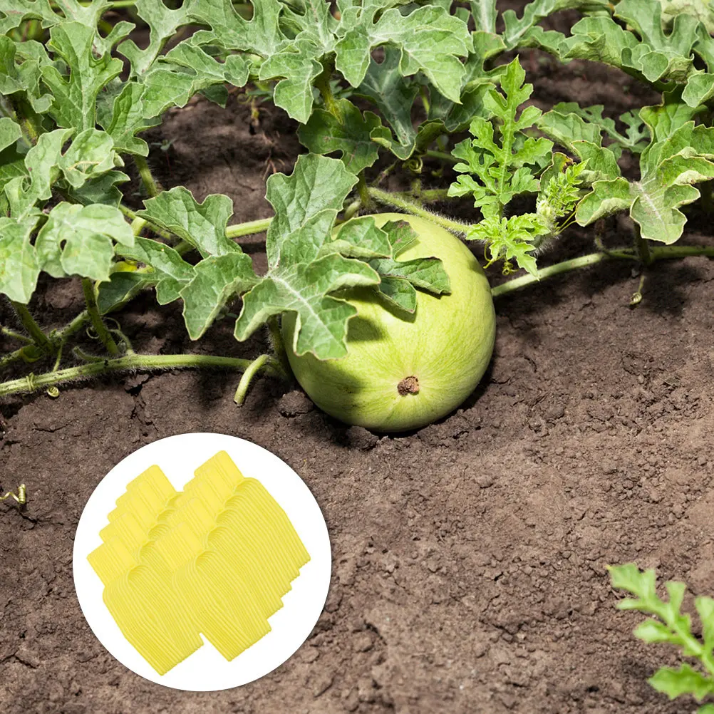 100Pcs Plant Vine Fixed Forks Environmental Friendly PP Press Tools for Watermelon Strawberry Stolon Plants Garden Support Clips