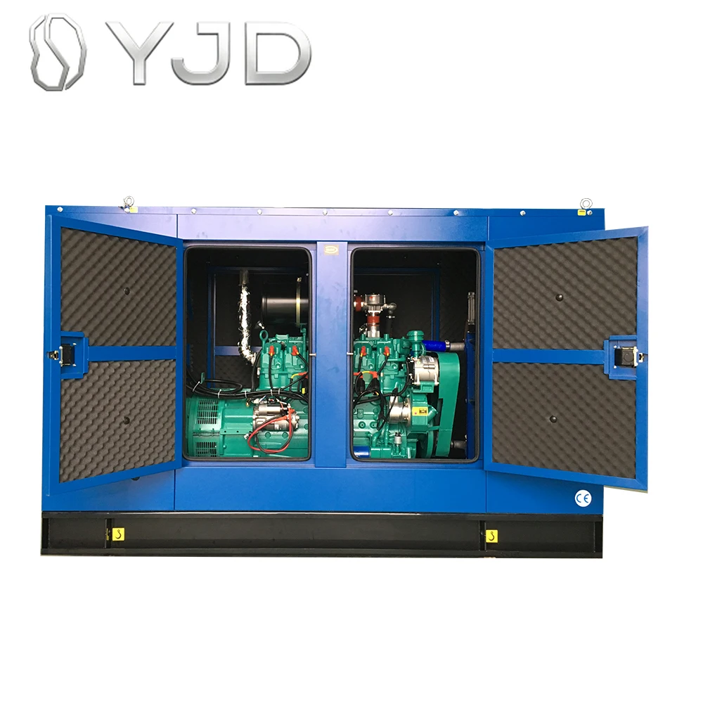 Super Quiet Environmental Protection Open Type Biogas Generator Set for Home