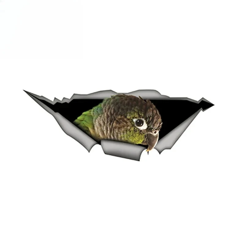 Green Cheek Conure 3D Car Sticker Funny Parrot Decal Creative Modified Waterproof Car Styling Stickersl 13cm  PVC KK