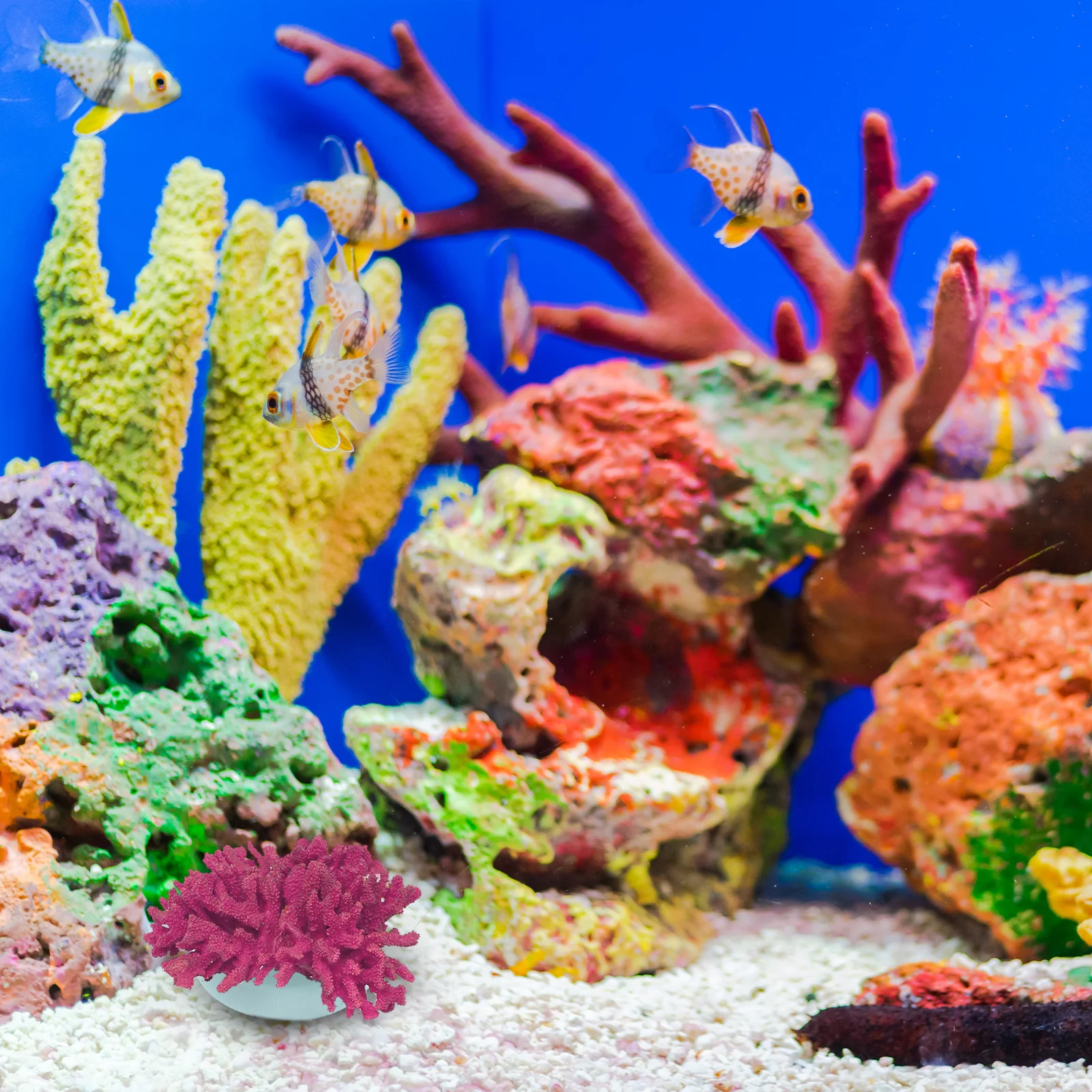 

10Pcs Ceramic Coral Bases Stable Holder Aquarium Coral Breeding Rack Fish Tank Accessory Aquarium Accessory