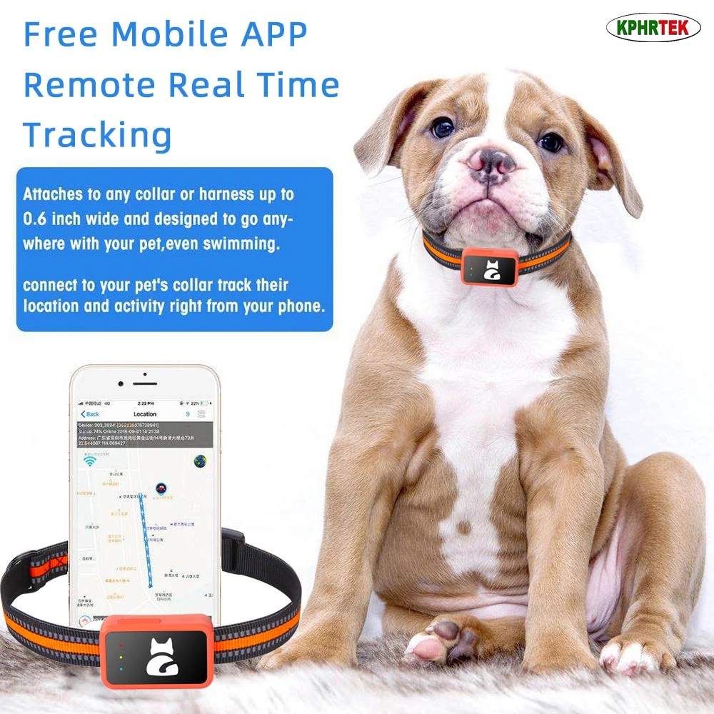 Rastreador GPS 4G G68P para Pe - Pet Activity Health Monitor Tracker reseña y precio