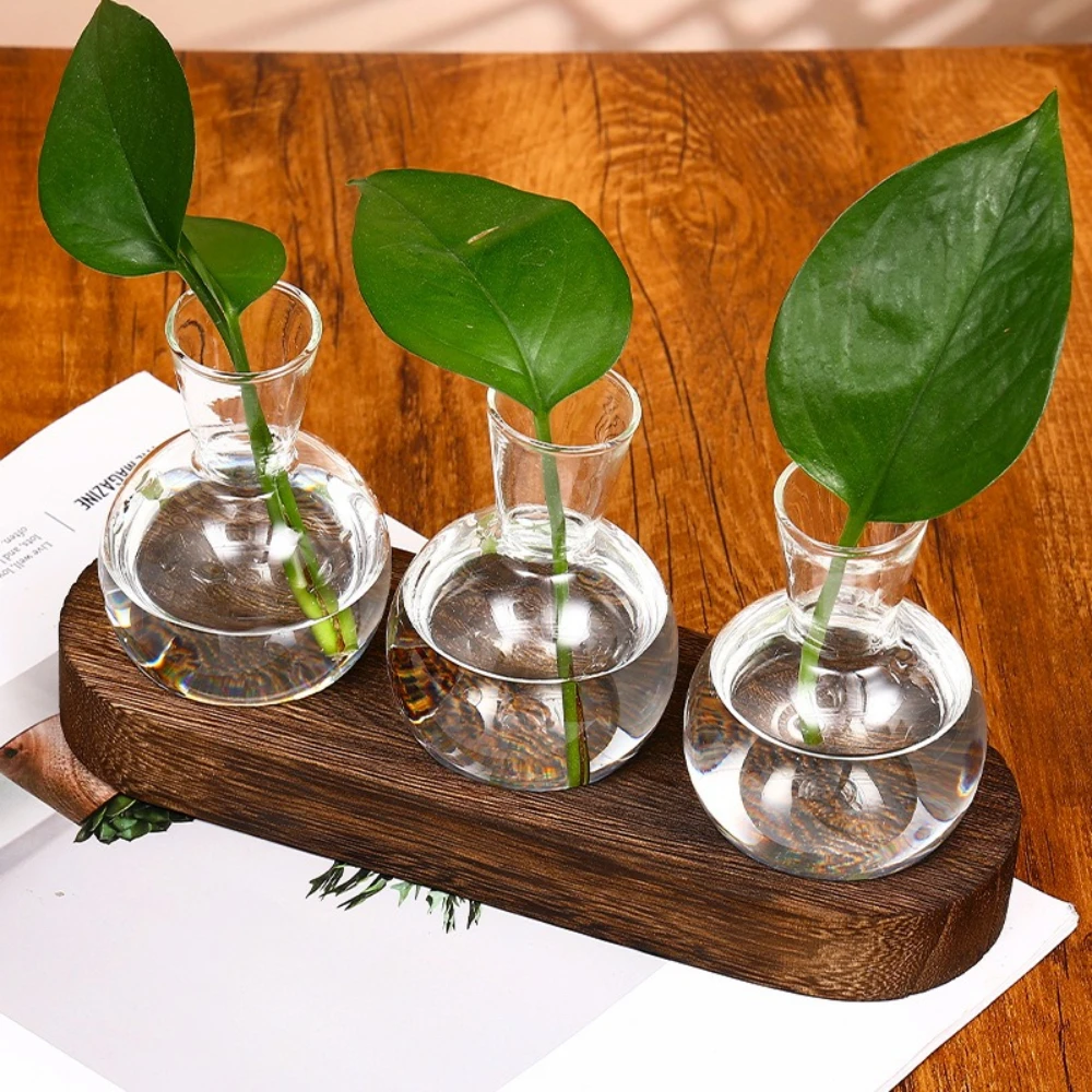 Modern Glass Plant  VaseTerrarium with Wooden Tray Desktop Plant Propagation Station Hydroponic Vase Home Decor Planter Lover