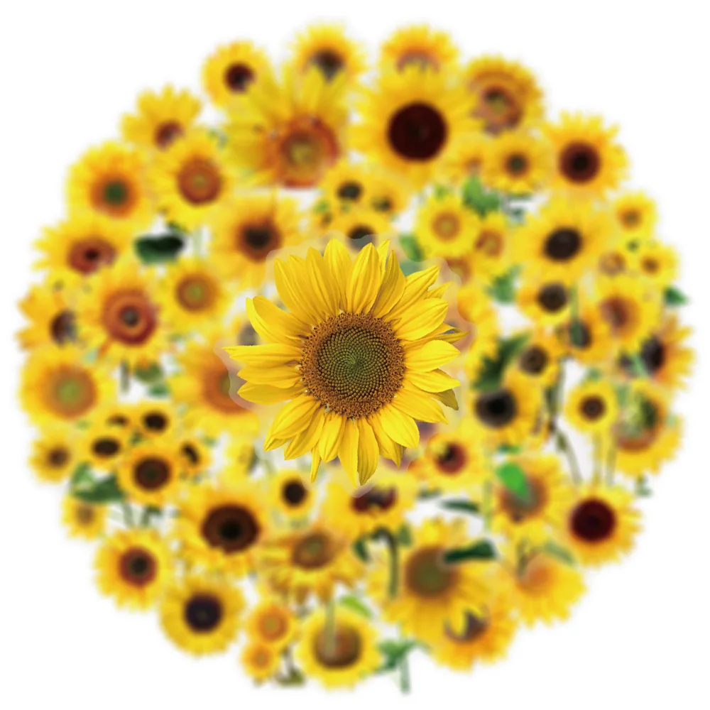 50PCS Sunflower กันน้ําโปร่งใสดอกไม้สติกเกอร์ตกแต่งโน้ตบุ๊คกีตาร์ถ้วยน้ํากระเป๋าเดินทาง Graffiti ของเล่นเด็ก