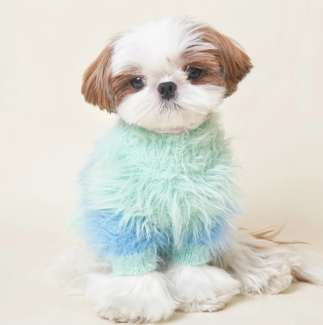 Cute French Fries Printed Soft Cotton Sweater for Pets High Quality Design Dog Jacket Small Animal Clothing for Cats