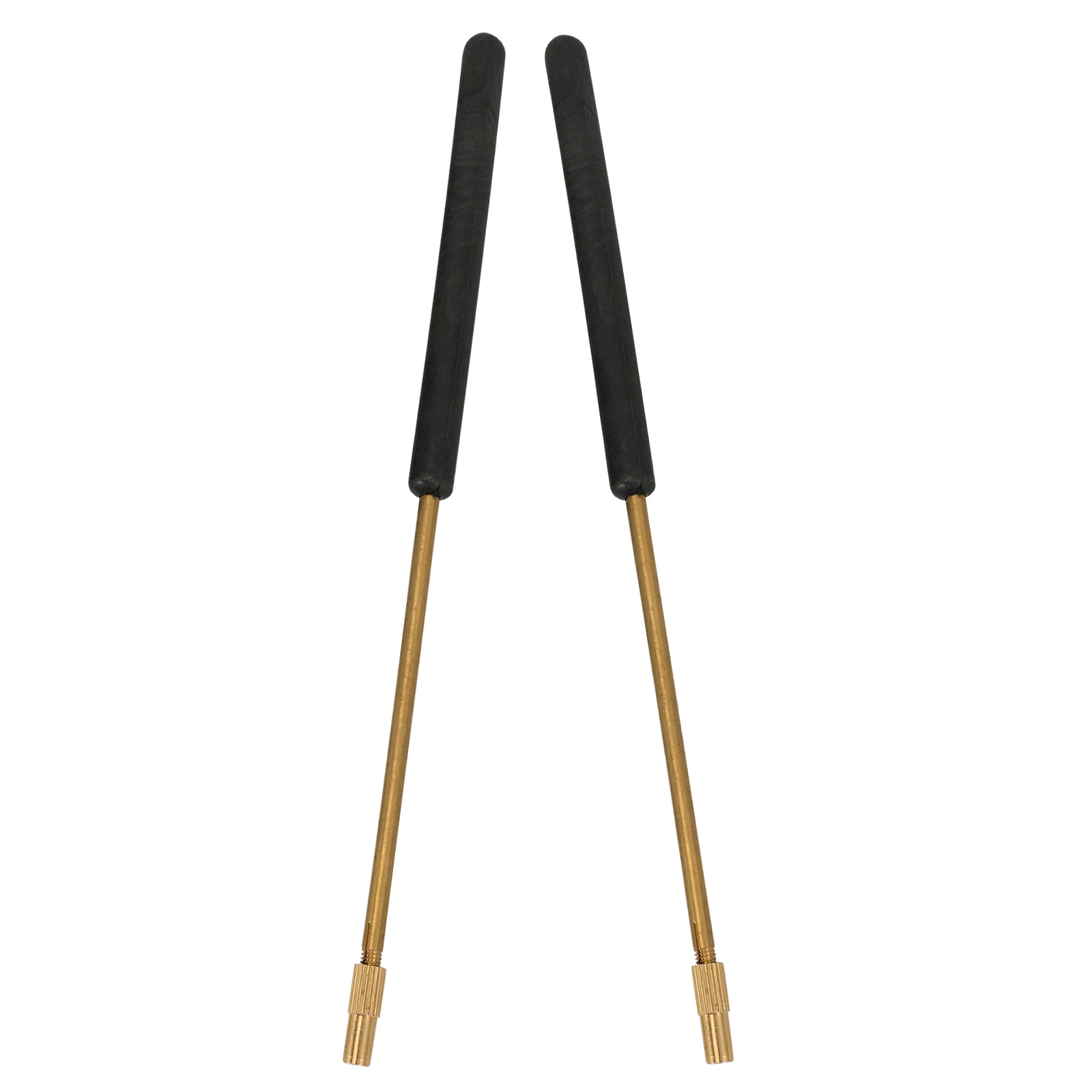 

2Pcs Pure Inoculating Rods Laboratory Supplies Microbiology Lab Tools AGAR Culture Sample Transfer Supplies
