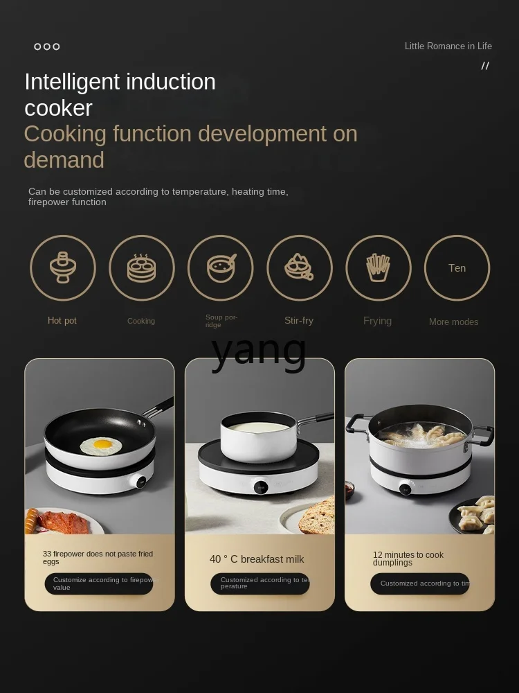 LMM  Induction Cooker Household Cooking Multi-Functional Dormitory Hot Pot Intelligent Fire