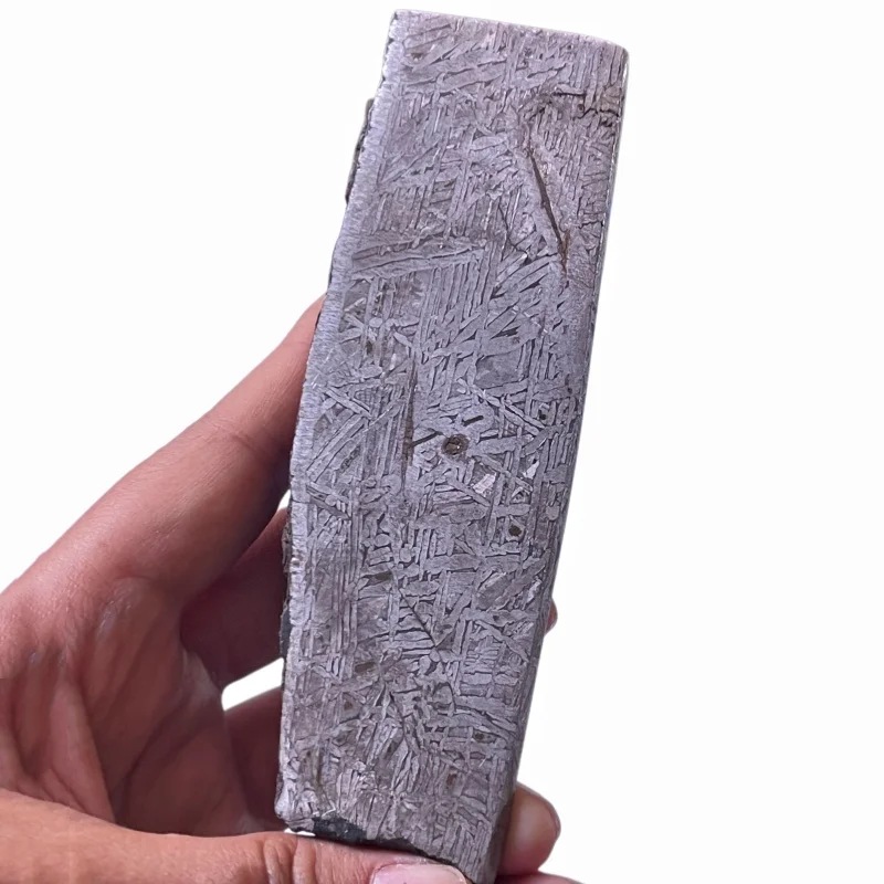 Muonionalusta Iron Meteorite Slice Etched Widmanstatten Pattern Specimen With Natural Crust Mineral Collection Display CC261