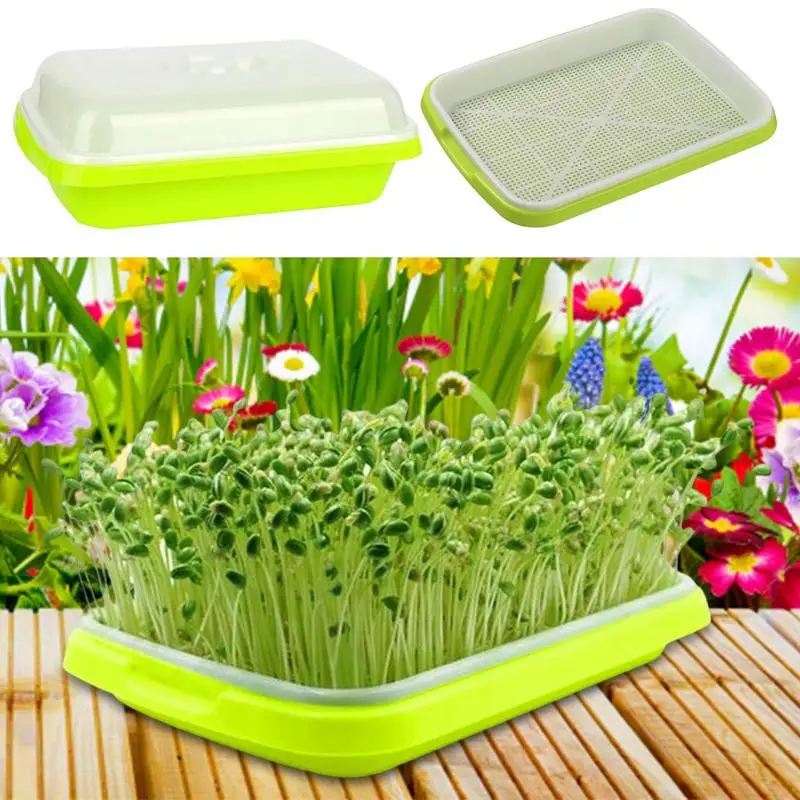 

Sprouting Tray Box Pea Bean Wheat Cat Grass Seedling Germination Planting Soilless Hydroponics Nursery Plate Seed Sprouter home