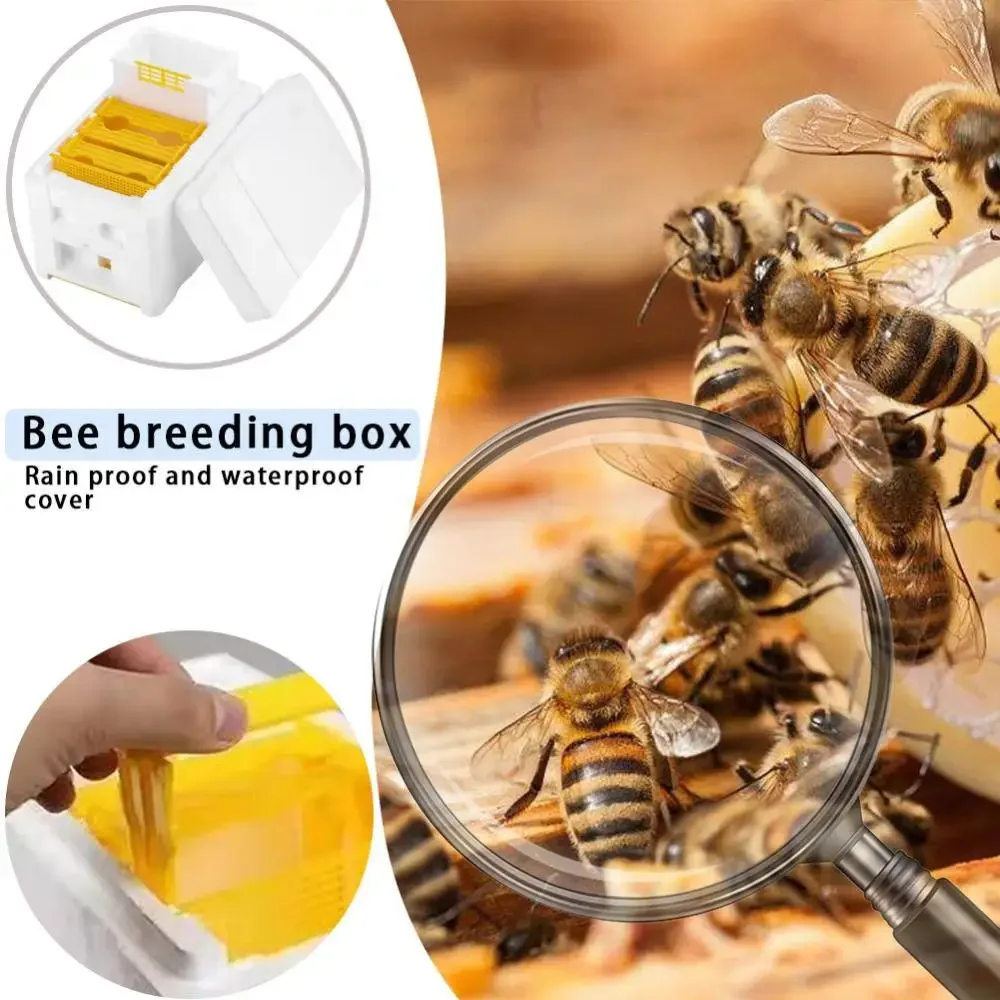 

Пчелиный улей, пенопластовый ящик для пчеловодства, король, улей, сад, инструмент для хранения пчел, чехол для гнезда