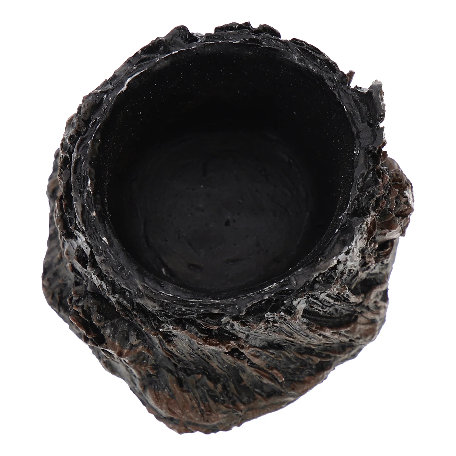 الراتنج وعاء الماء طبق الماء الزواحف سطح أملس وعاء التغذية للزواحف الملتحي التنين خزان الملحقات داخلي سحلية الغذاء #2