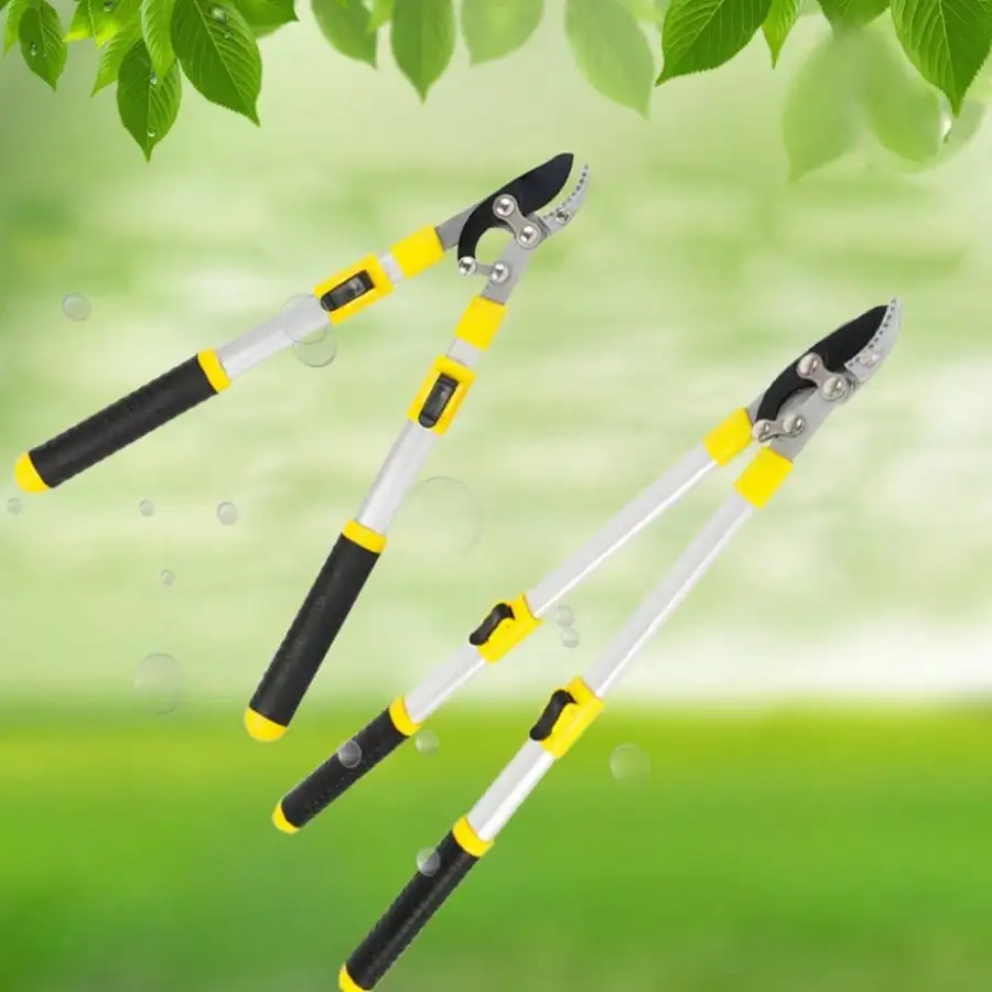 Ostern Sonderangebot SK5 Erweiterte Gartenschere, dehnbar für Obstbäume