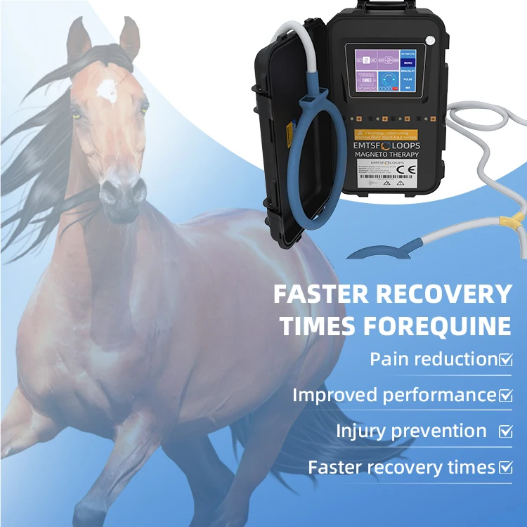 Home Magnetotherapy Pe-mf Cell Regeneration Mat Horse Magnetic Therapy Pe-mf Therapy for Horse