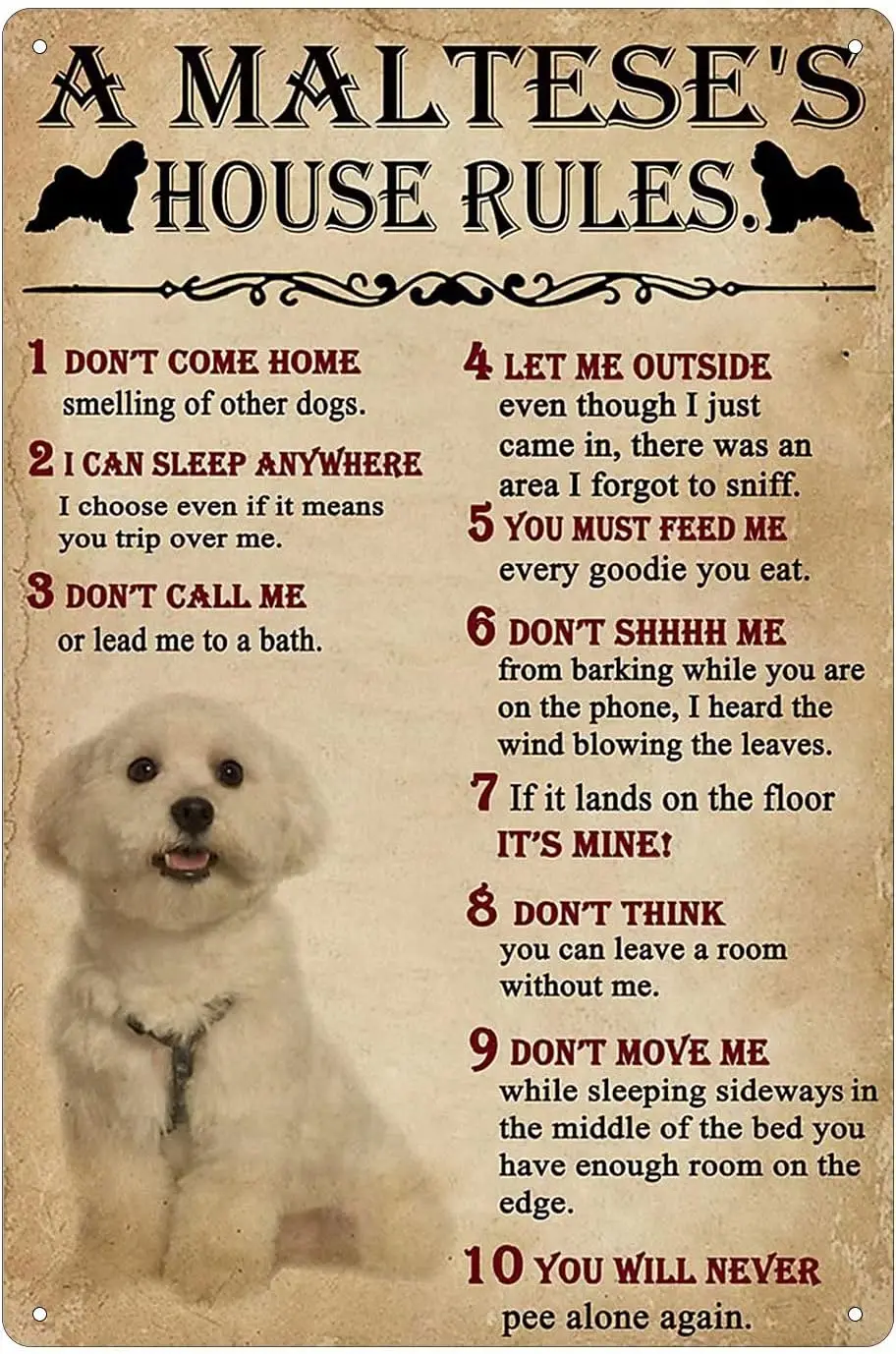 Dog Vintage Tin Sign Maltese'S House Rules Poster Garden Home Cafe Kitchen Bar Art Wall Hanging Gift 8x12 Inches sign