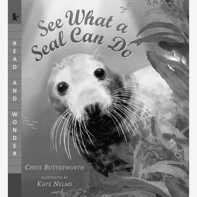 

Посмотрите, что печатать Can Do Chris Butterworth Candlewick Press 9780763676490 Книга