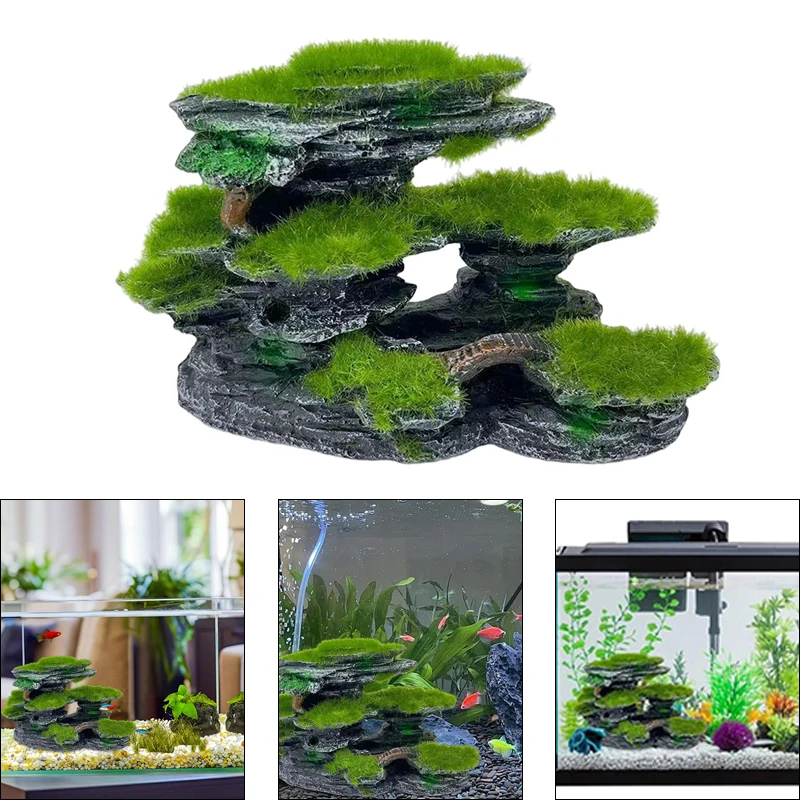 Aquarium Mountain V…