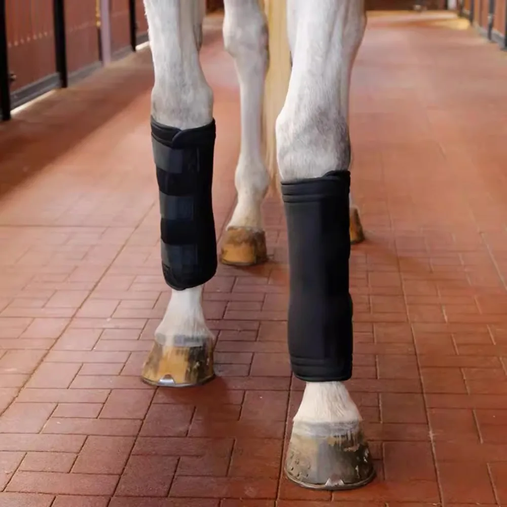 Paardensport Beenbeschermers Kunnen Worden Gebruikt Voor Koud En Warm Kompres, Terwijl Paarden Leggings Kunnen Worden Gebruikt Voor Hot Comprimeren 8216037