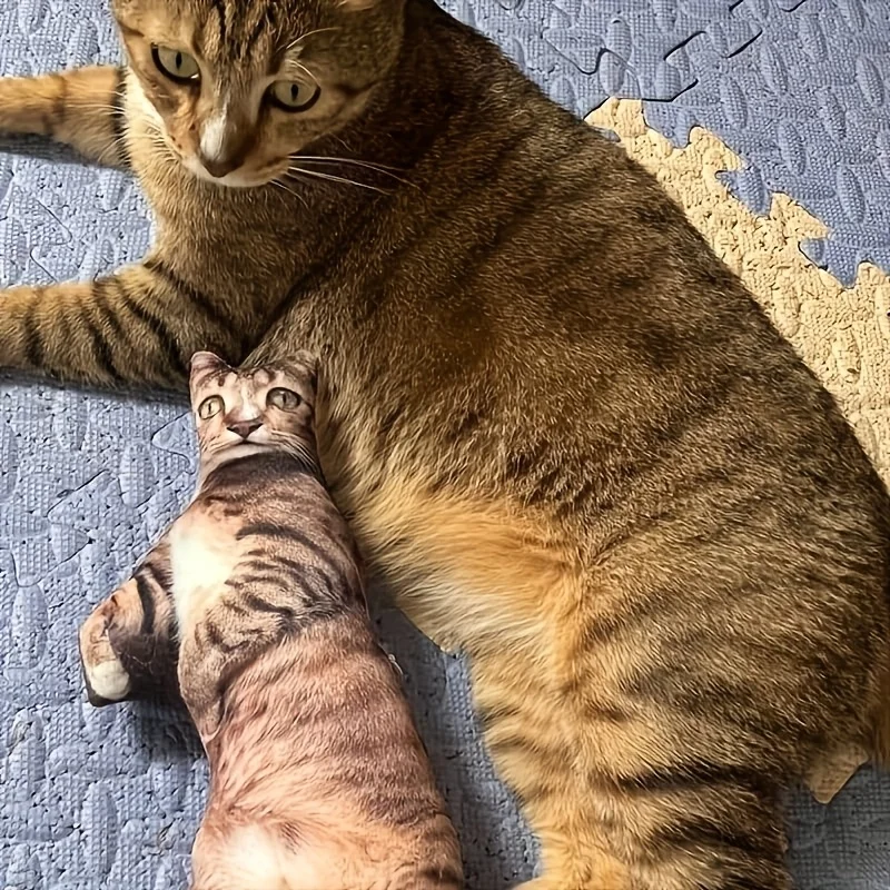 وسادة ممتعة مخصصة، طباعة مزدوجة الجوانب، صور لطيفة للكلاب والقطط، مادة بوليستر ناعمة، رفيق نوم مثالي وفريد من نوعه