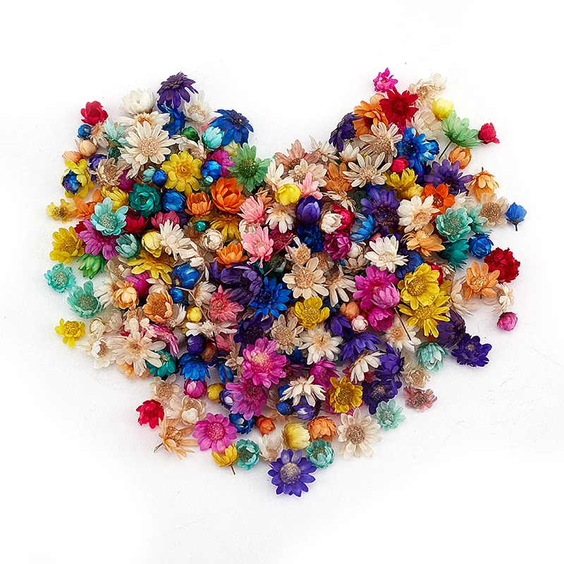 200Pcs Dried Flowers For DIY Epoxy Resin Candle Making Jewellery Glass Filler