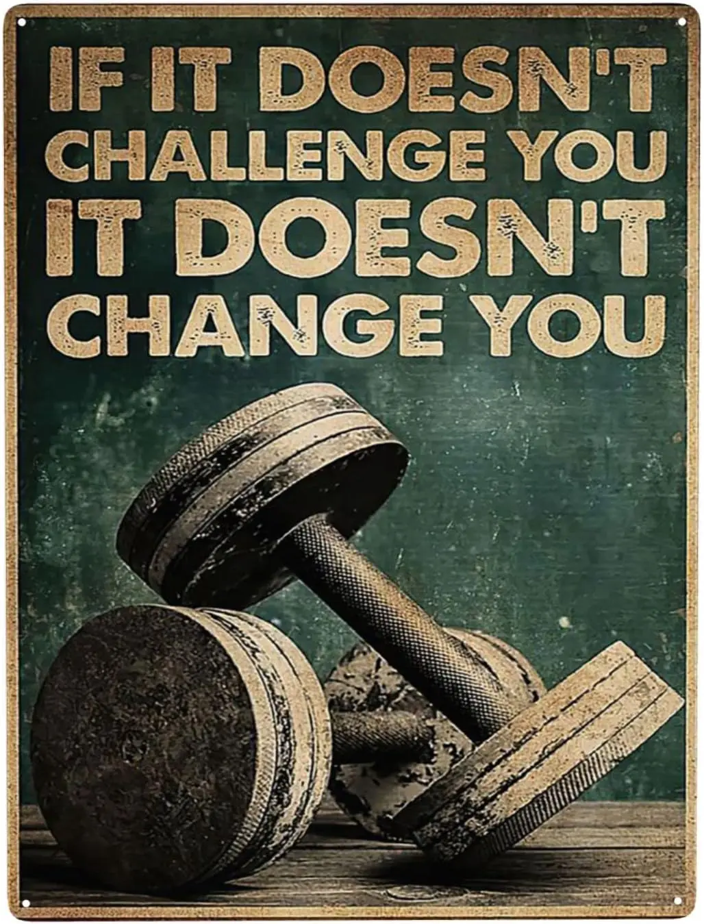 WZVZGZ Gym Room If It Doesn't Challenge You It Doesn't Change You Tin Metal Sign Wall Decor Fun Decoration for Home good sign
