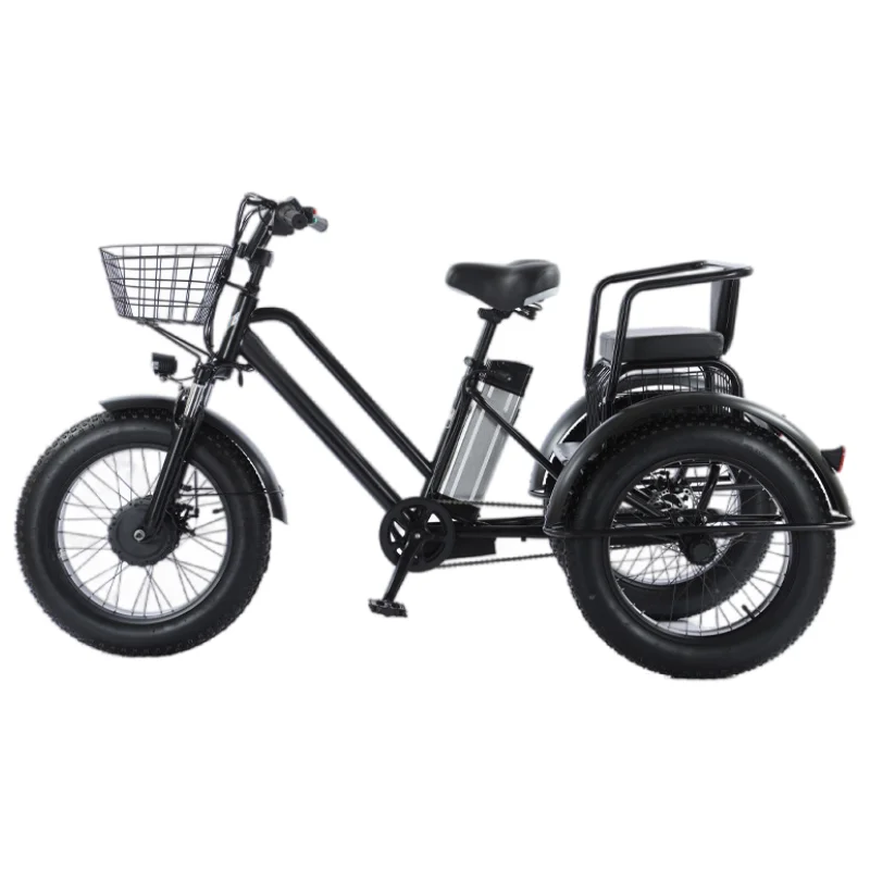 48V 500W 12AH 20 Inch Snow Fat Tire Electric Cargo Bike with Seat for 2 Adult Powerful 3 Wheel Electric Tricycle with Big Basket