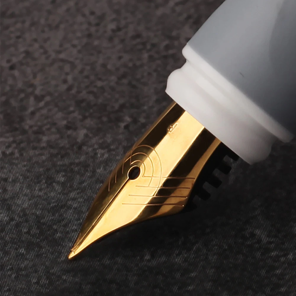 Schneider Fountain Pen + Ballpoint Pen Set BK600 Iridium Nib Student Practice Calligraphy Business Office Signature Pen Gift Box