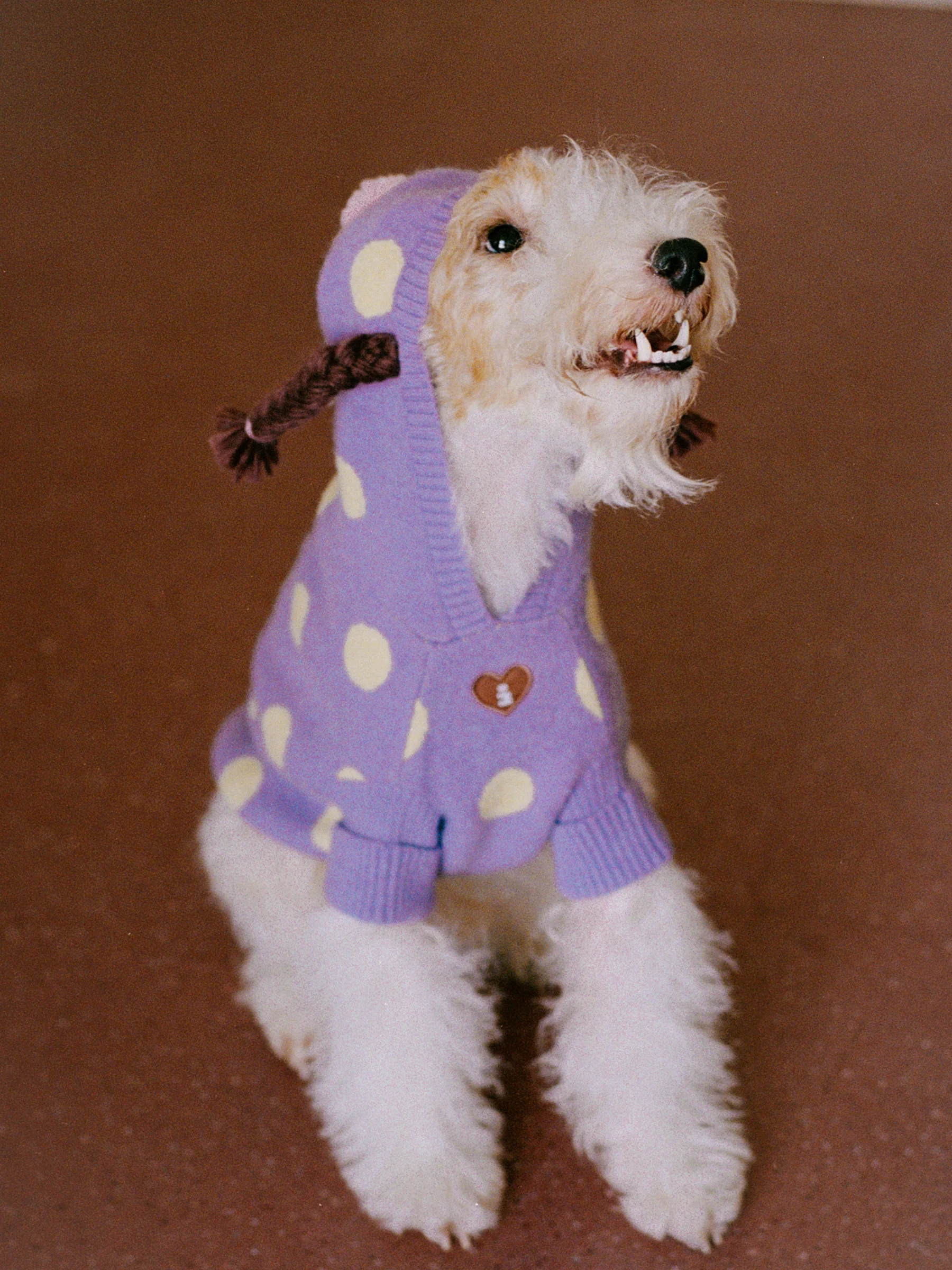

Tagi Knitted Dog Sweater with Hat Polka Dot Pattern Warm Autumn Winter Pet Clothing for Dogs Vintage Embroidery Small Braids