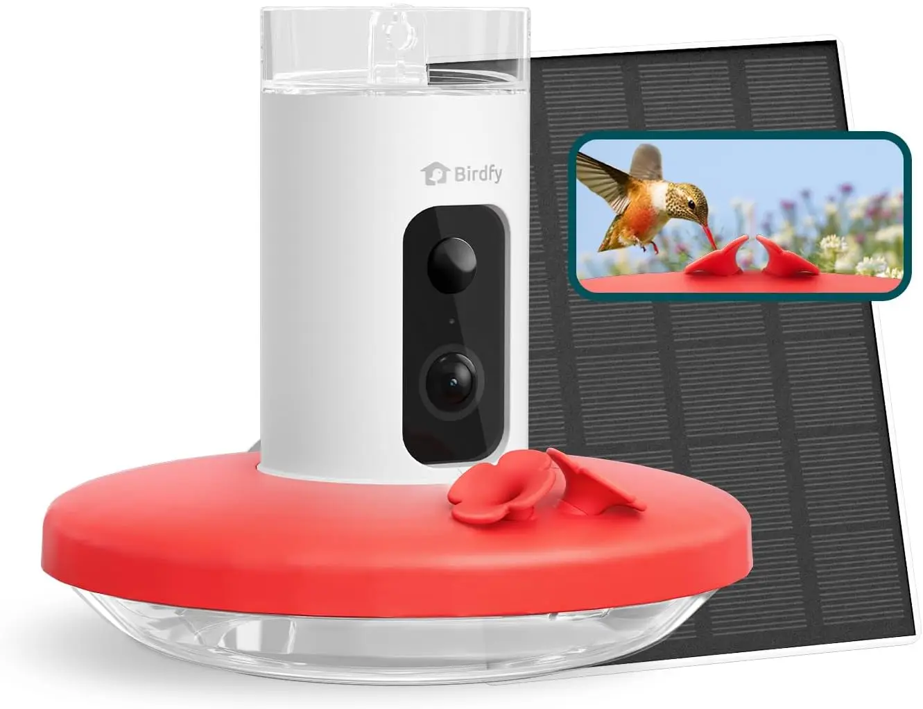 Smart Hummingbird F…