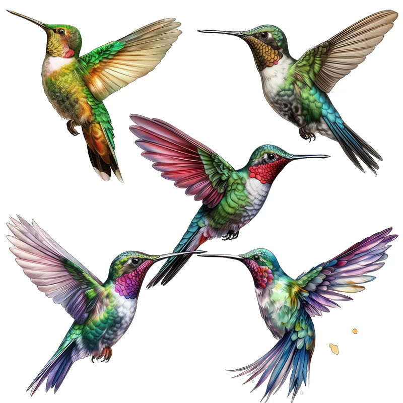 Three Ratels QN56 Beautiful kingfisher bird art wall stickers for home decoration door stickers toilet stickers car body decals