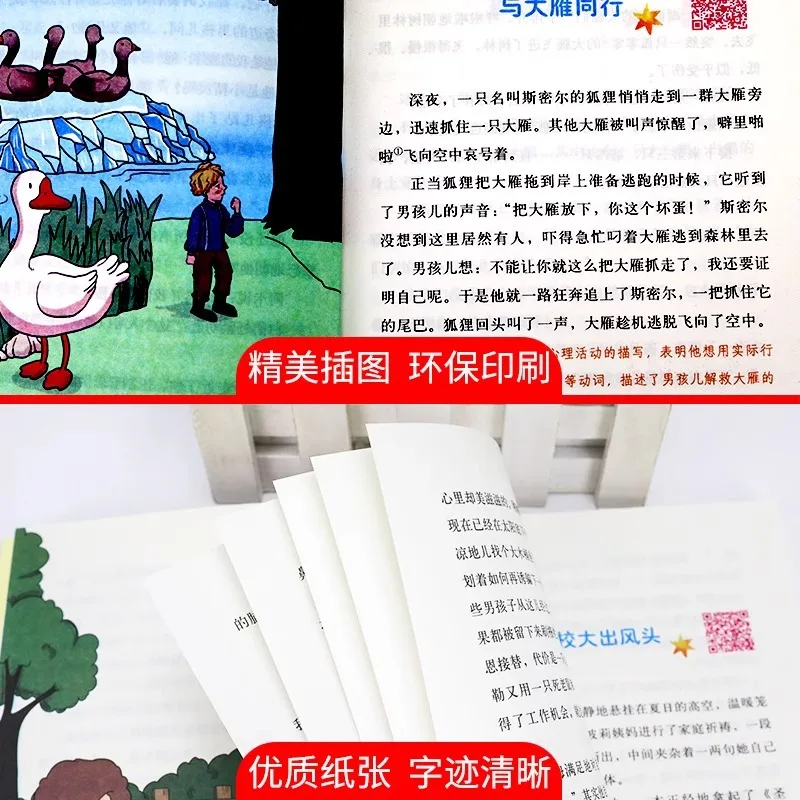 Must Read Libri classici per studenti extracurriculari di sesta elementare Volume 2 Libri di lettura Robinson Crusoe