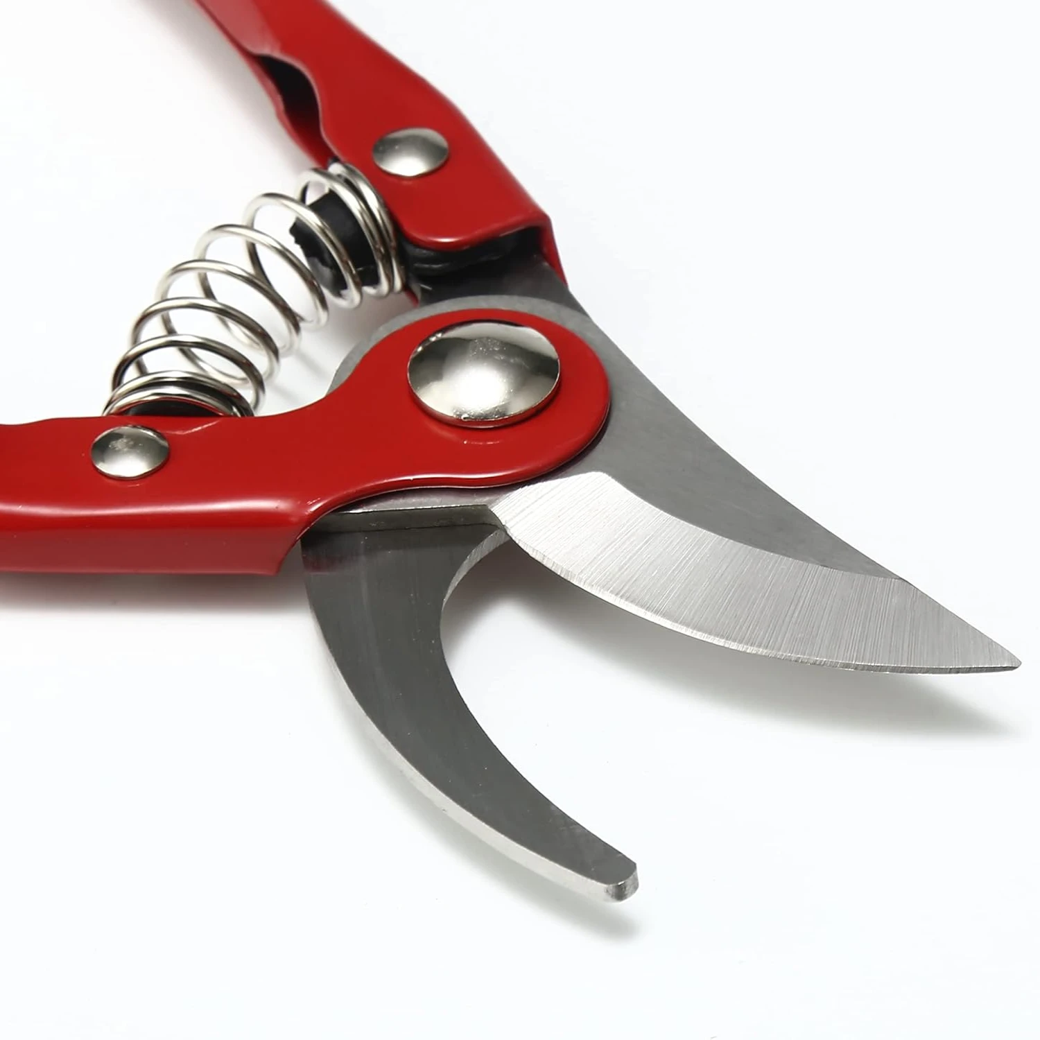 

Ensure a beautiful and thriving garden with high-quality, efficient, and durable gardening shears and scissors. Elevate your gar