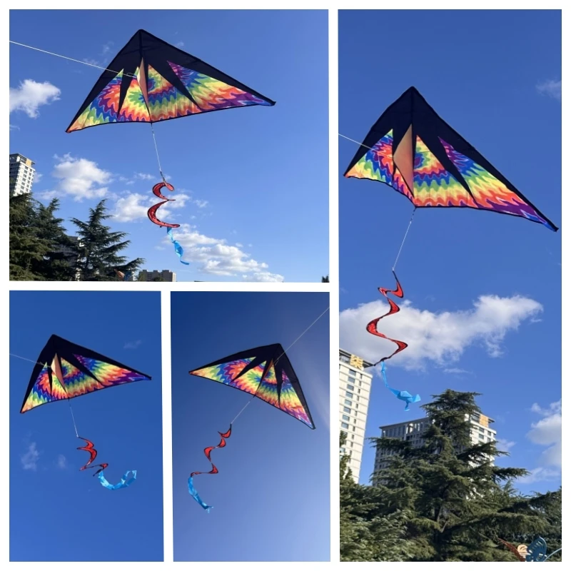 Free Shipping delta kites flying for kids kites factory windsurfing Eagle kite professional kite Power kite adult flying kites