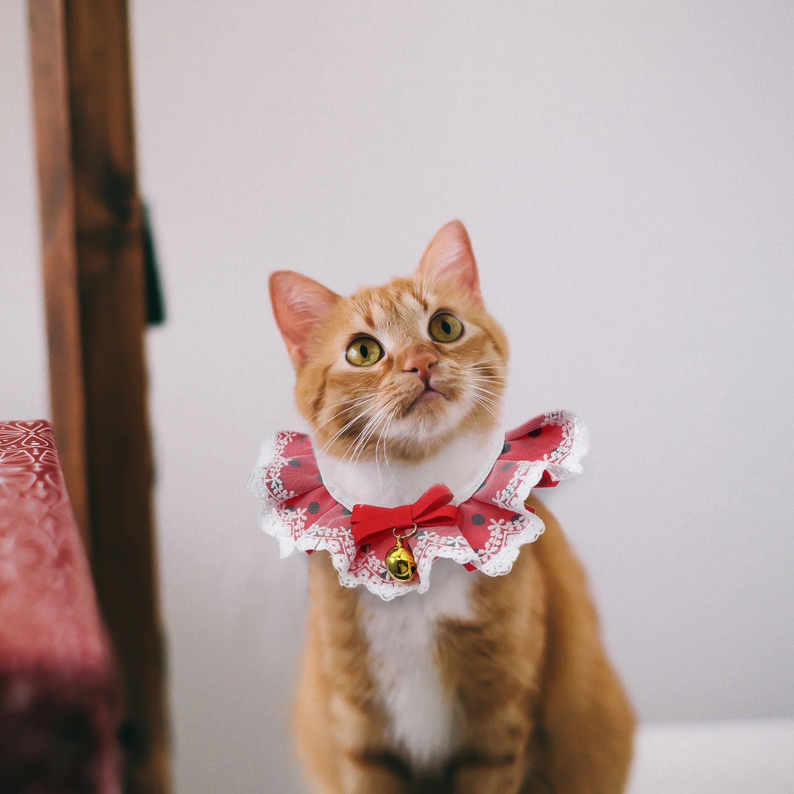 

Pet Bow Cat Lace Collar Bell Chic Neckwear Party Birthday Christmas Wedding Daily Scarf Apparel Bibs Cat Collar