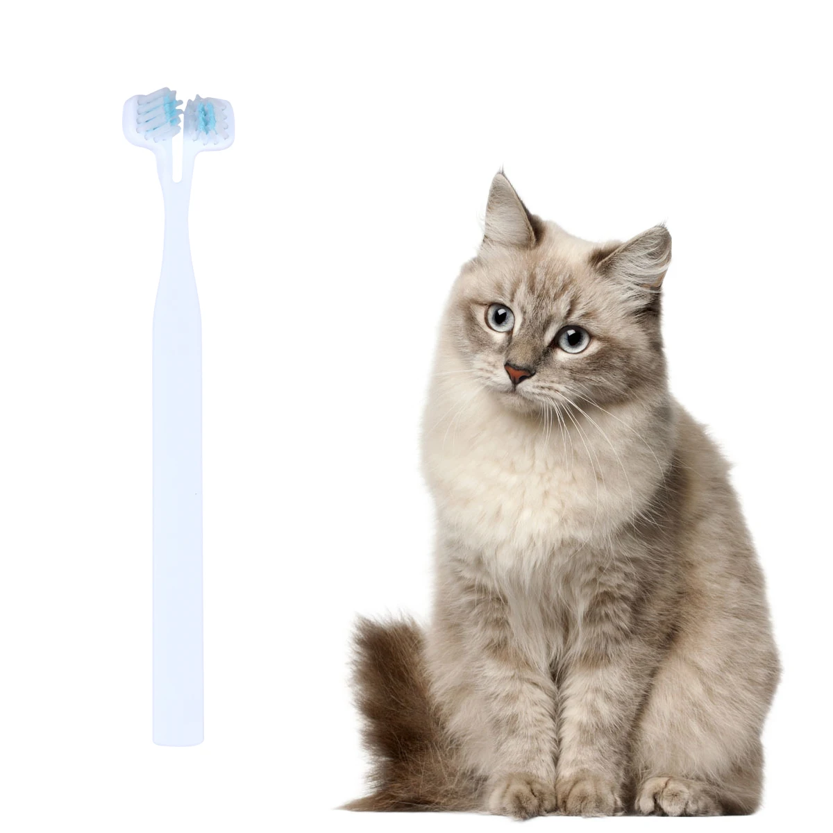 

3 Pcs Pet Toothbrush Oral Accessories Cleaning Teeth Set