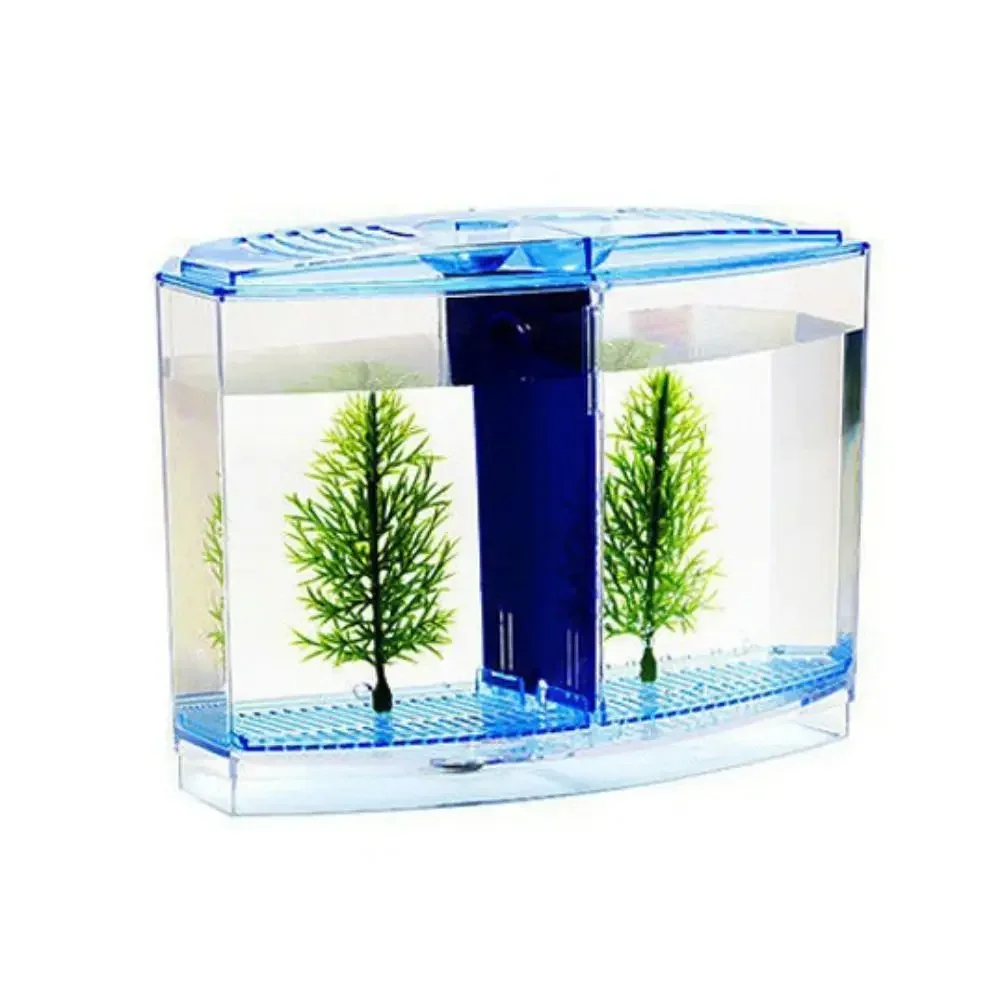 Transparent Betta Fish Tank with Water Grass, Plastic Double-Grid Betta Isolation Box, Single and Double Grid