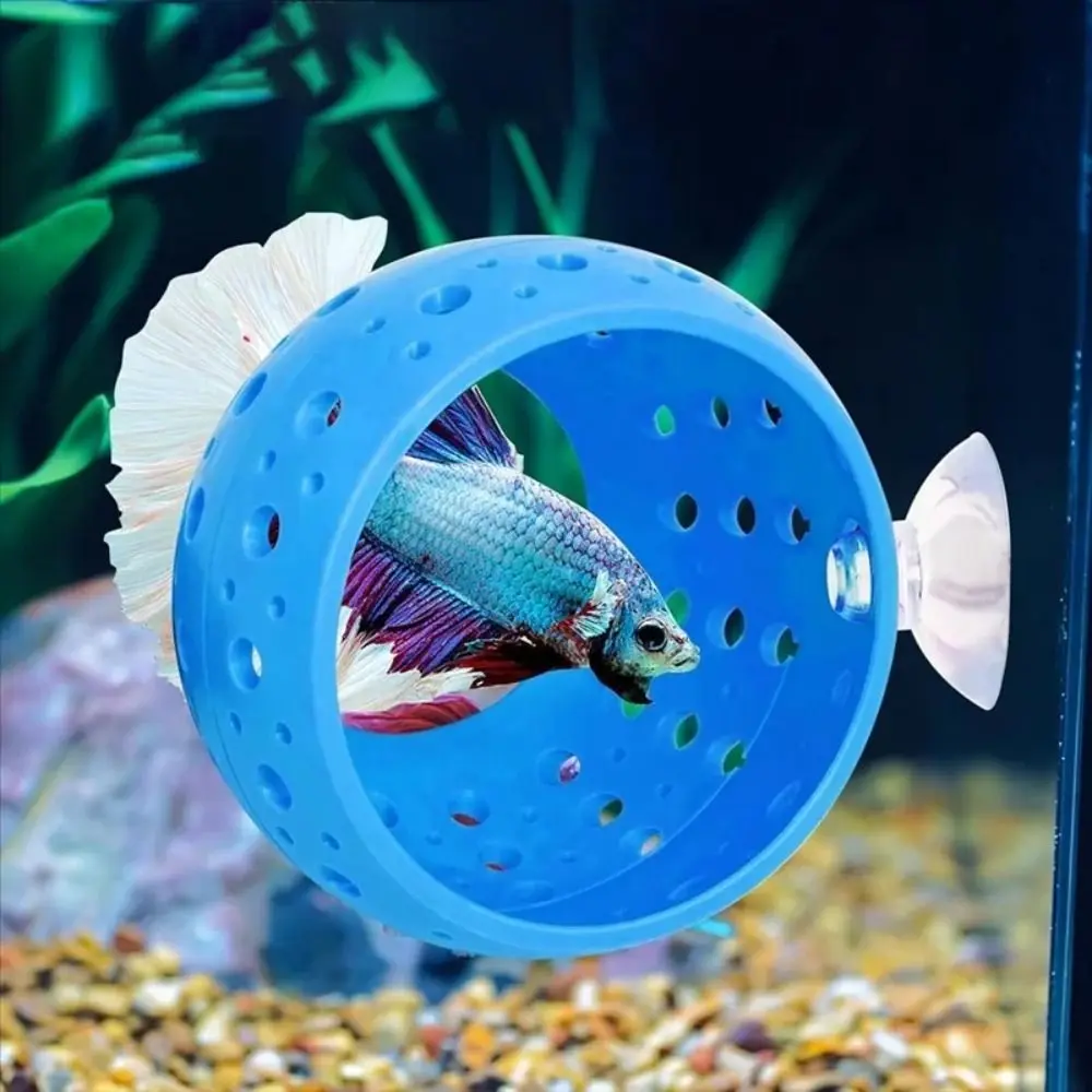 

Guppy Hideout Hollow Fish Shrimp Cave Decorative with Suction Cup Bettas Hiding Place Plastic Aquarium Habitat For Fish Shrimp