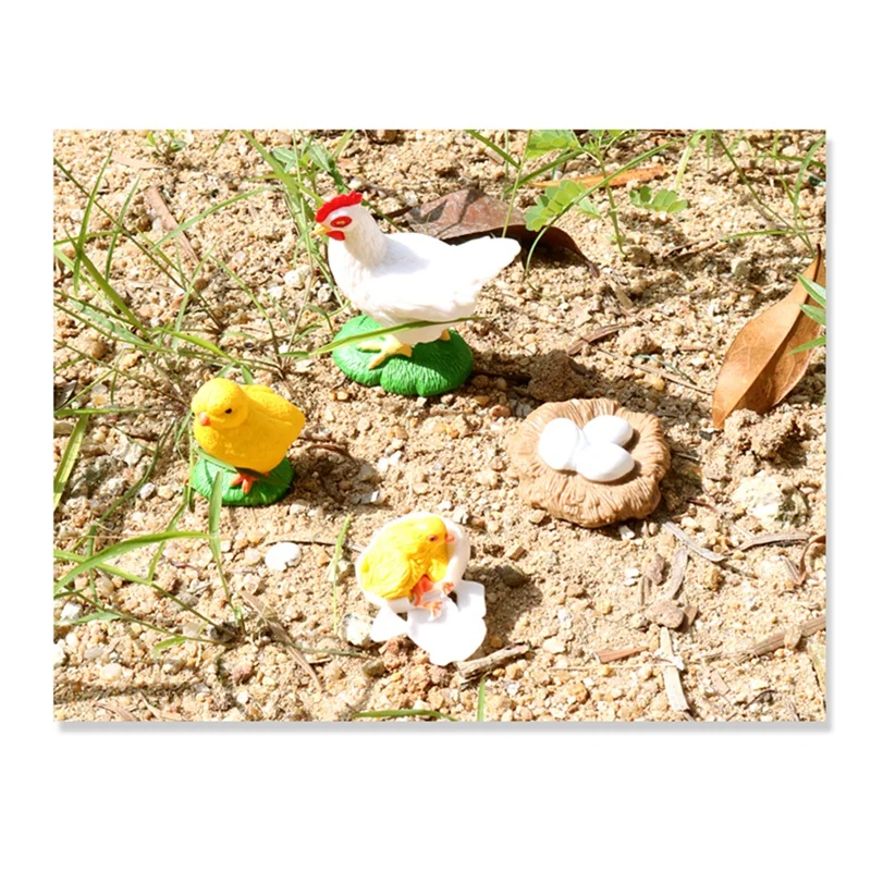 Figurines de poussin réalistes, modèle de subvention de la vie animale, jouets pour enfants, croissance de la vie animale, 4 pièces