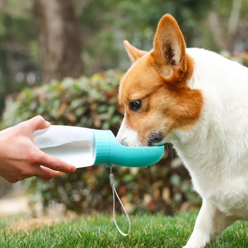 

500ml Big Dog Water Bottle Portable Drinking Bowl For Small Medium Dogs Cat Travel Hiking Puppy Pet Water Dispenser Cup Labrodor