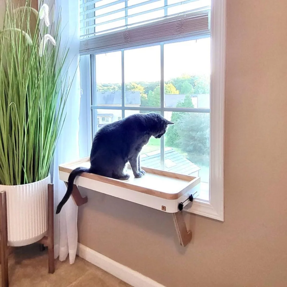 

Cat Window Perch, Sturdy-Safe support legs, Installed-removed 1 minute, No tools No nails, Window Shelf, Cat Lover Gift